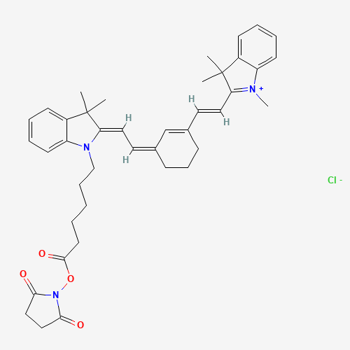 Cy7 NHS ester